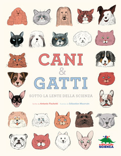 cani-e-gatti-310-310