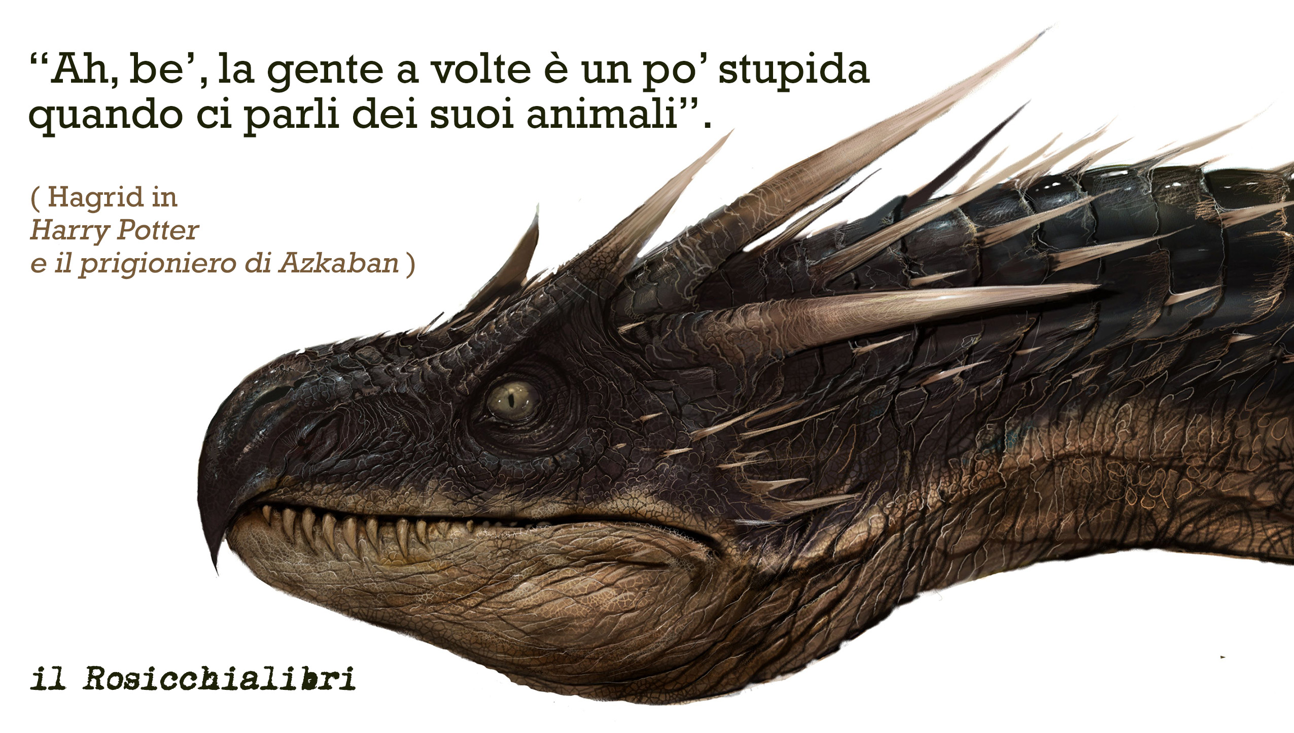 drago_rosicchialibri