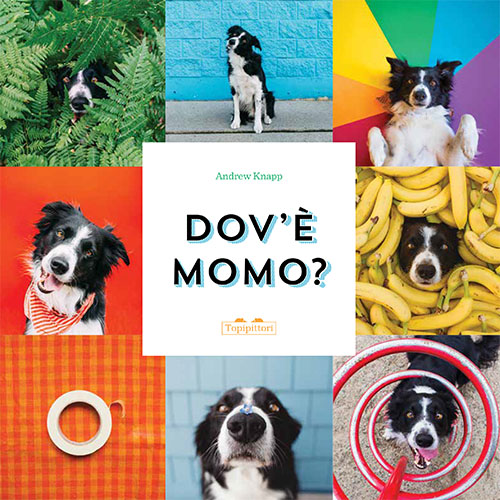 foto di momo_rosicchialibri