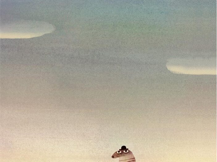 Il-sasso-dal-cielo-cover