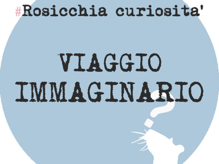 viaggio-immaginario_rosicchialibri