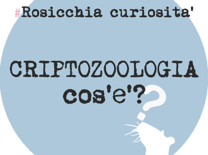 CRIPTOZOOLOGIA_ROSICCHIALIBRI