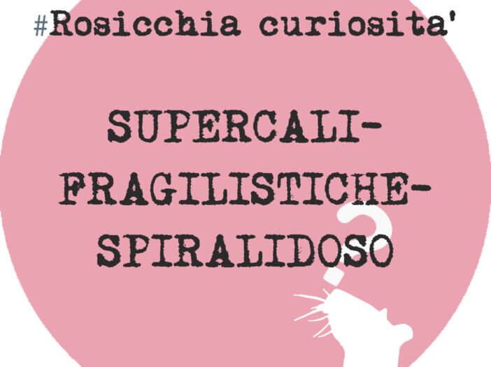 supercalifragilistichespiralidoso_rosicchialibri