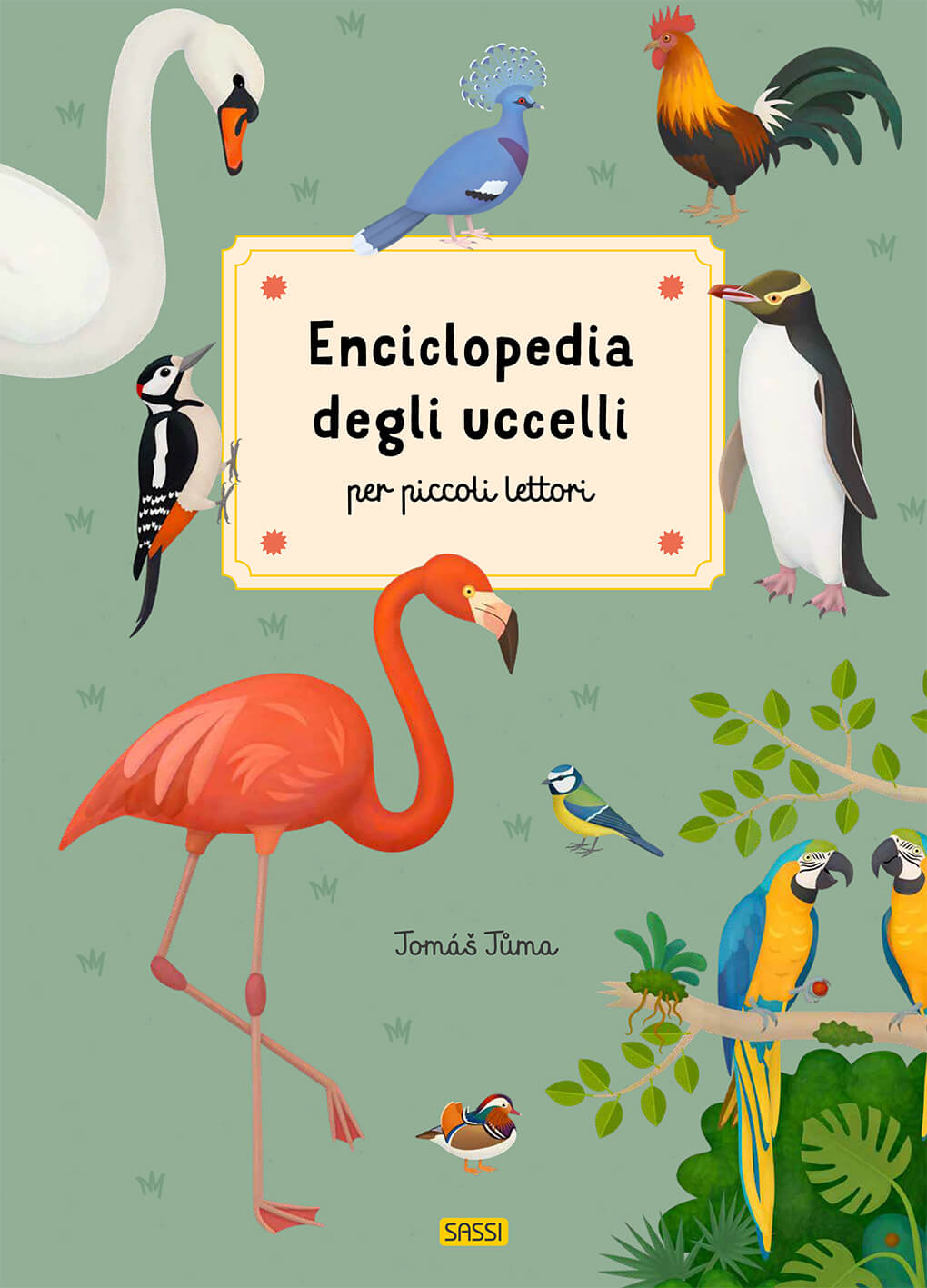 Enciclopedia-degli-uccelli_rosicchialibri