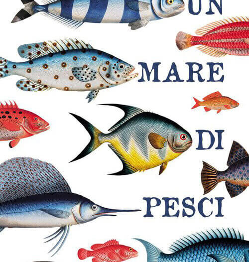 un-mare-di-pesci_rosicchialibri-1