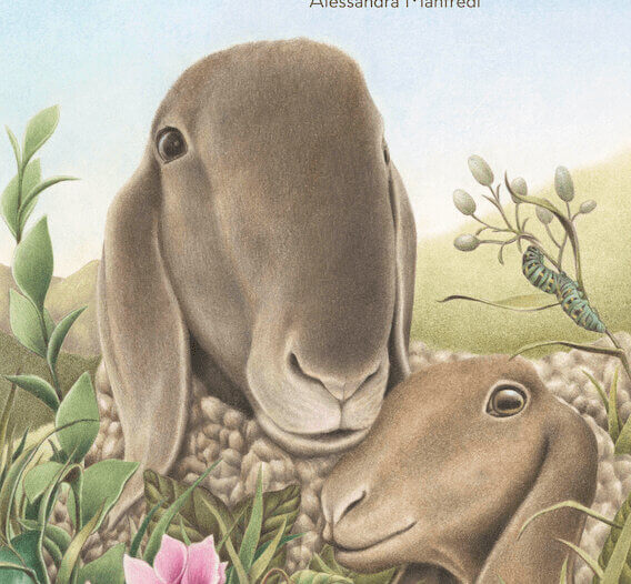 la-pecora_rosicchialibri