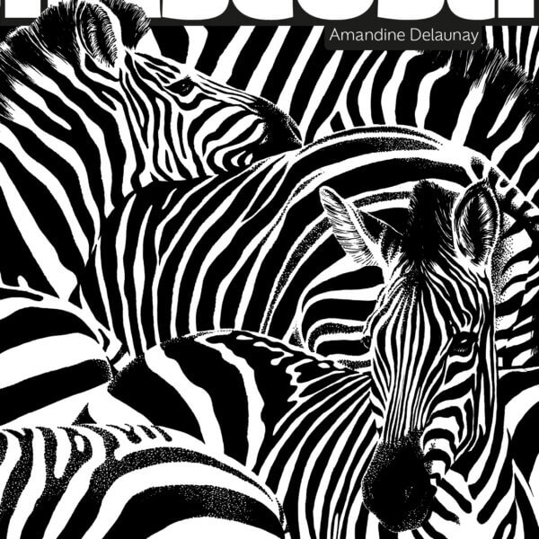 nascosti-rosicchialibri