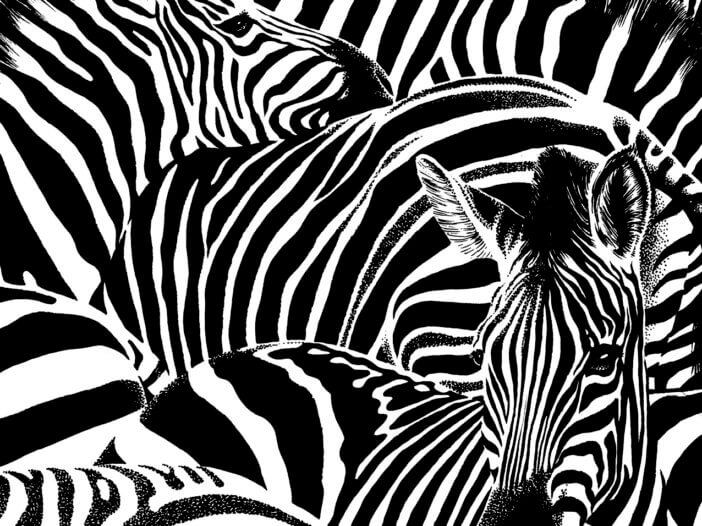 nascosti-rosicchialibri